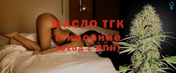 крисы Мегион