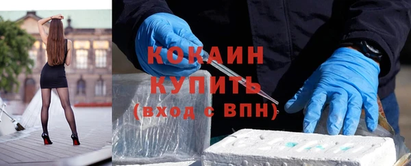 гидра Майский