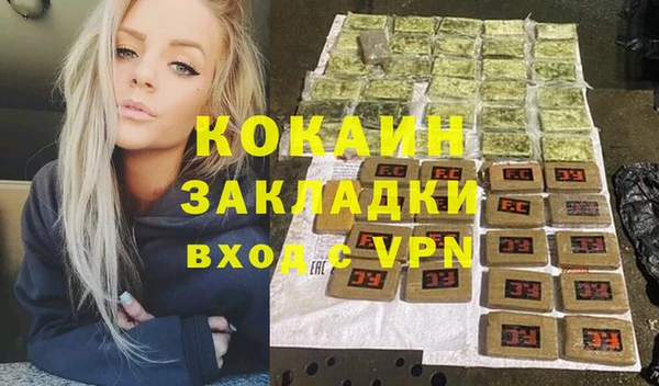крисы Мегион