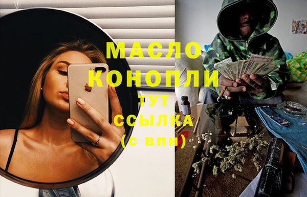 крисы Мегион