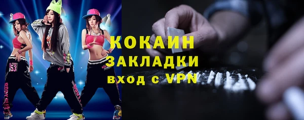 крисы Мегион