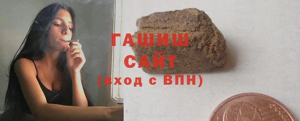крисы Мегион