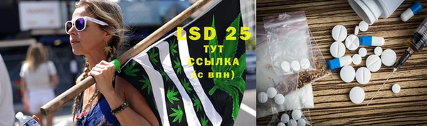 крисы Мегион