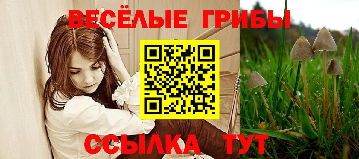 Псилоцибиновые грибы Cubensis Красноармейск